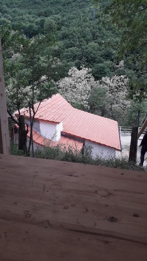 Andrei Sasca Montană Exterior foto