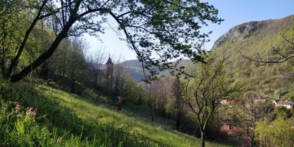 Andrei Sasca Montană Exterior foto